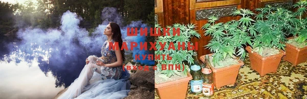 спиды Абинск