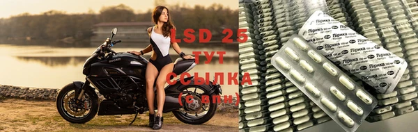 спиды Абинск