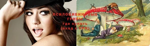 не бодяженный Абаза
